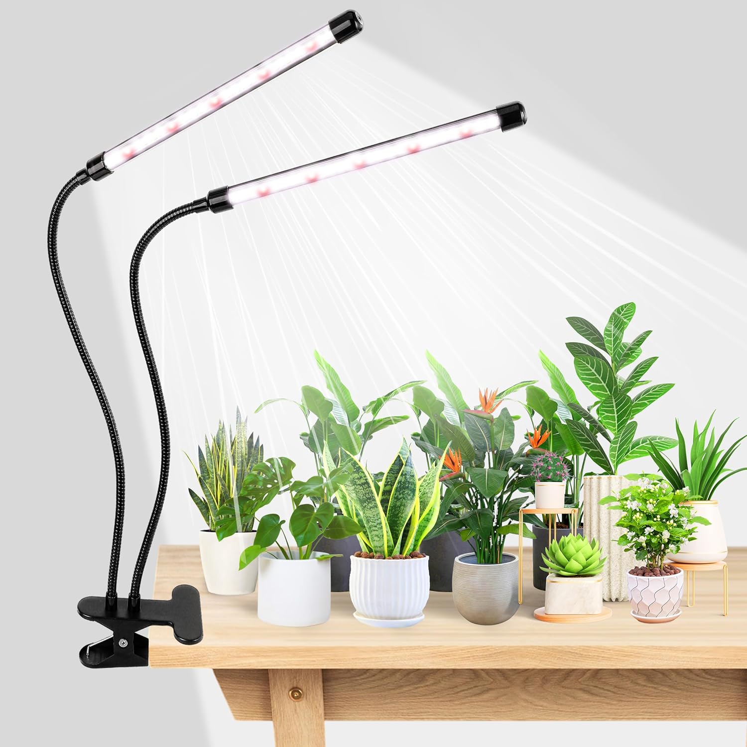 Hydroponic Grow Pod - مصباح نمو النباتات LED من KEBINCPLED