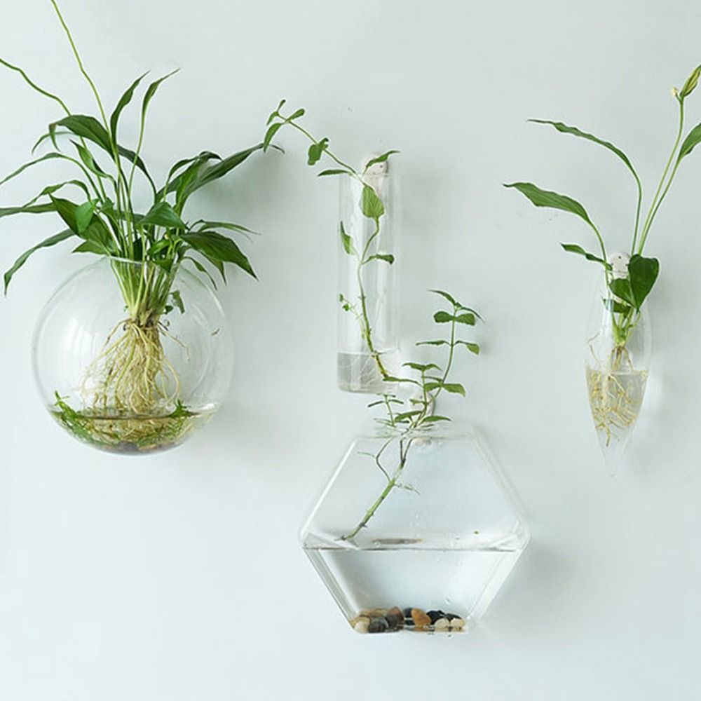Hydroponic Grow Pod - نباتات مائية تنقي الهواء، حوض أسماك،