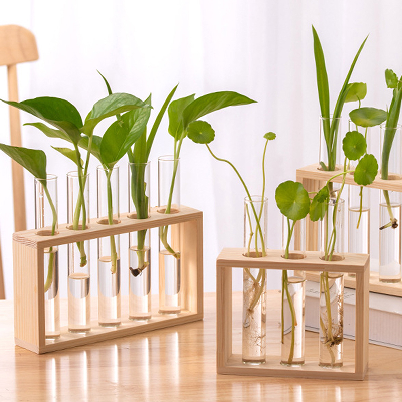 Hydroponic Grow Pod - حاوية النباتات المائية مع إطار خشبي