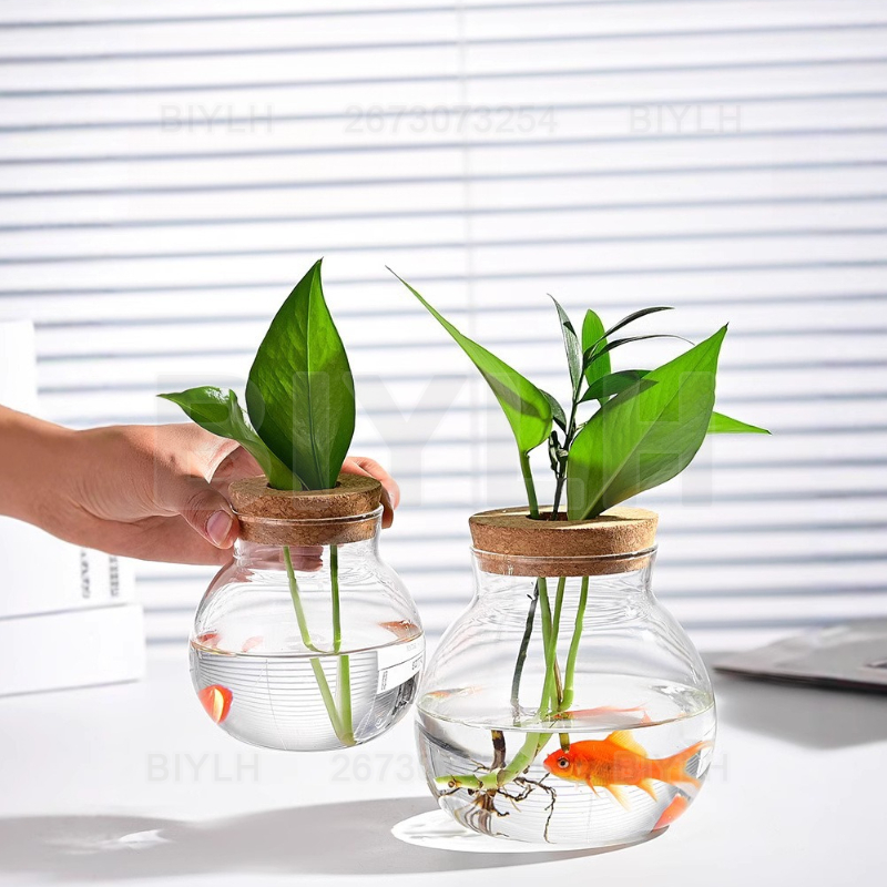 مزهرية زجاجية للنباتات المائية - مراجعة Hydroponic Grow Pod وسعره