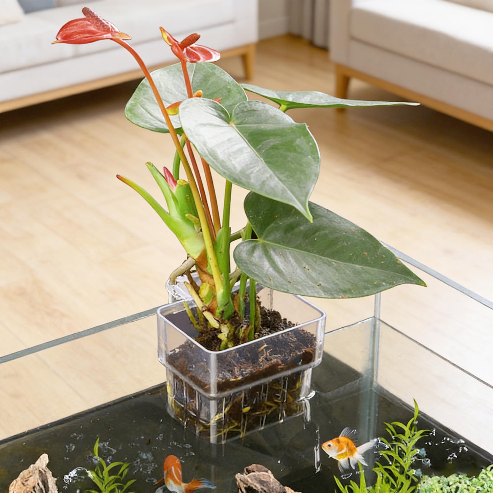 وعاء شفاف قابل للتعليق لحمل نب - مراجعة Hydroponic Grow Pod وسعره