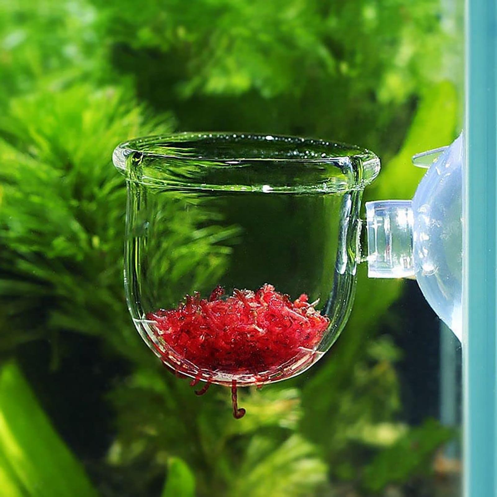 وعاء النباتات المائية زارع حوض - مراجعة Hydroponic Grow Pod وسعره